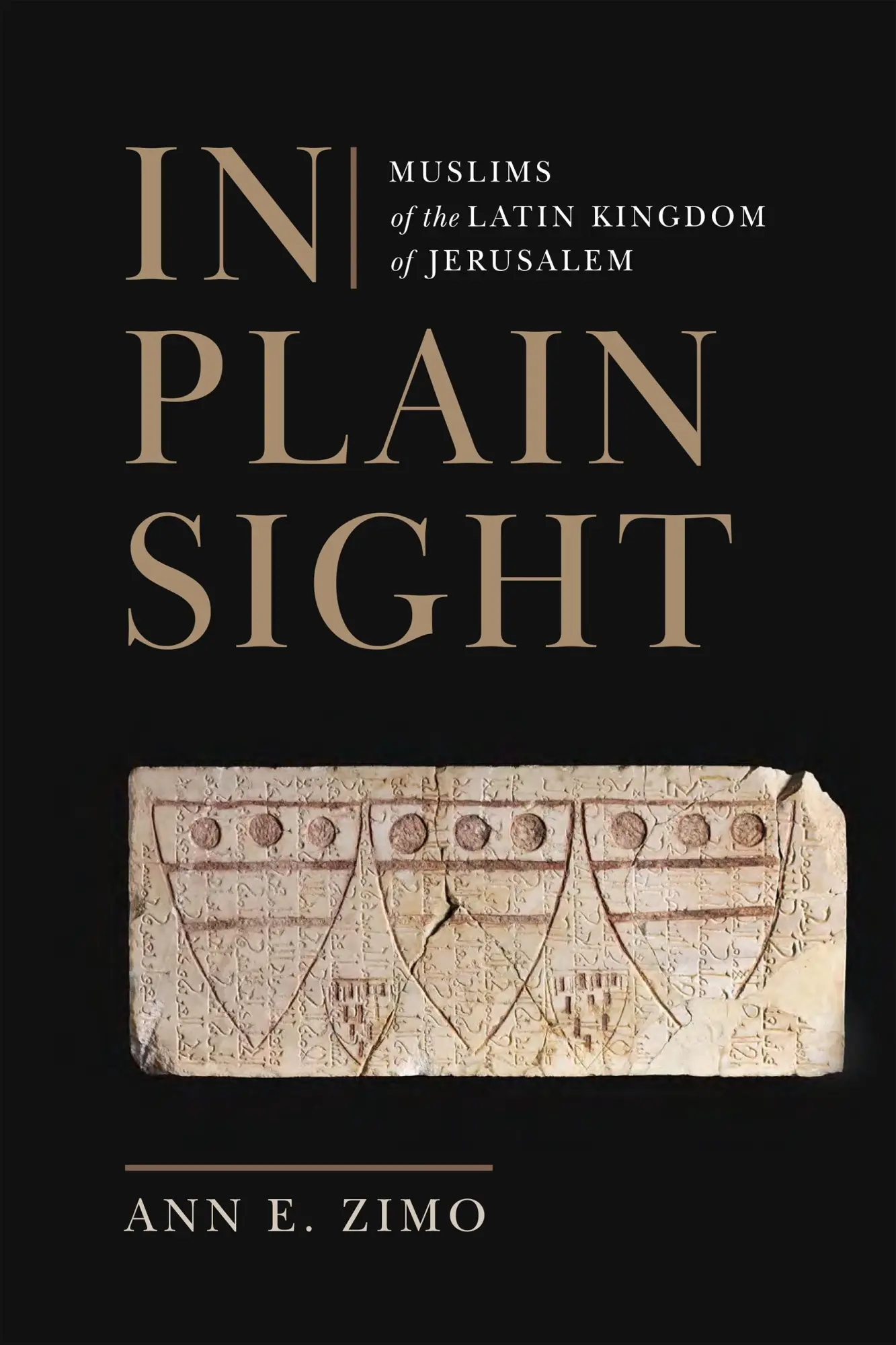 Cover: 9781512824896 | In Plain Sight | Muslims of the Latin Kingdom of Jerusalem | Zimo