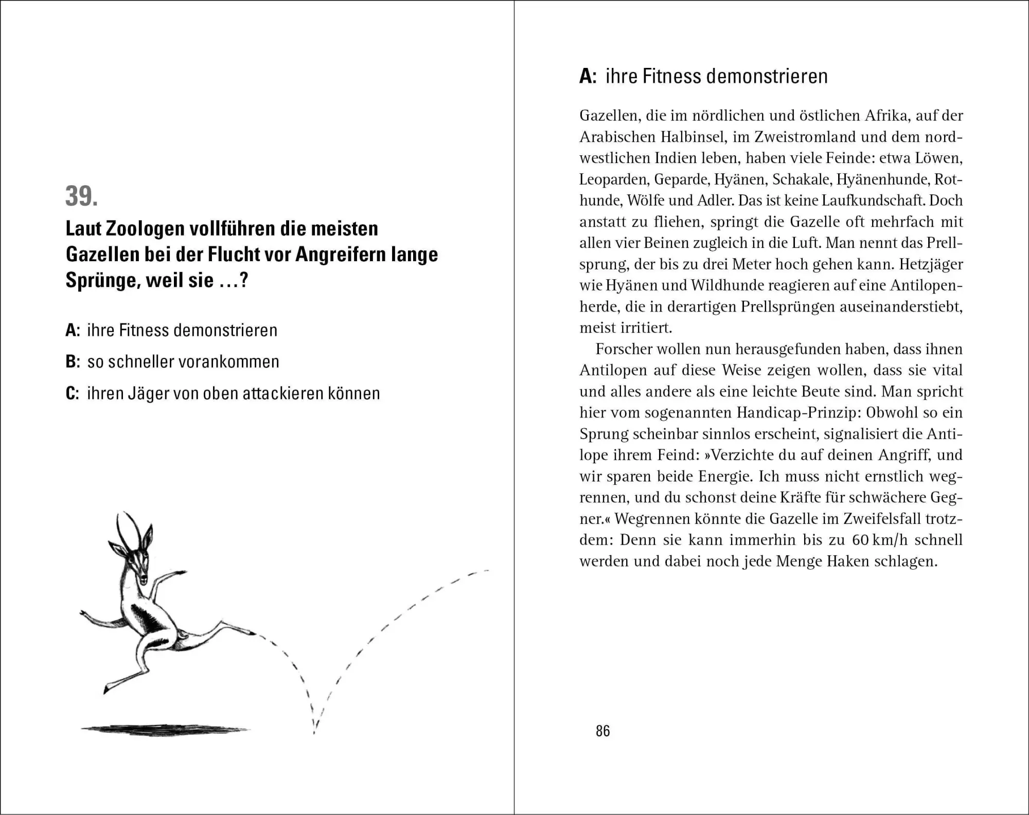 Bild: 9783453604896 | Wer weiß denn sowas? | Wilhelm Heyne Verlag GmbH &amp; Co. KG | Buch