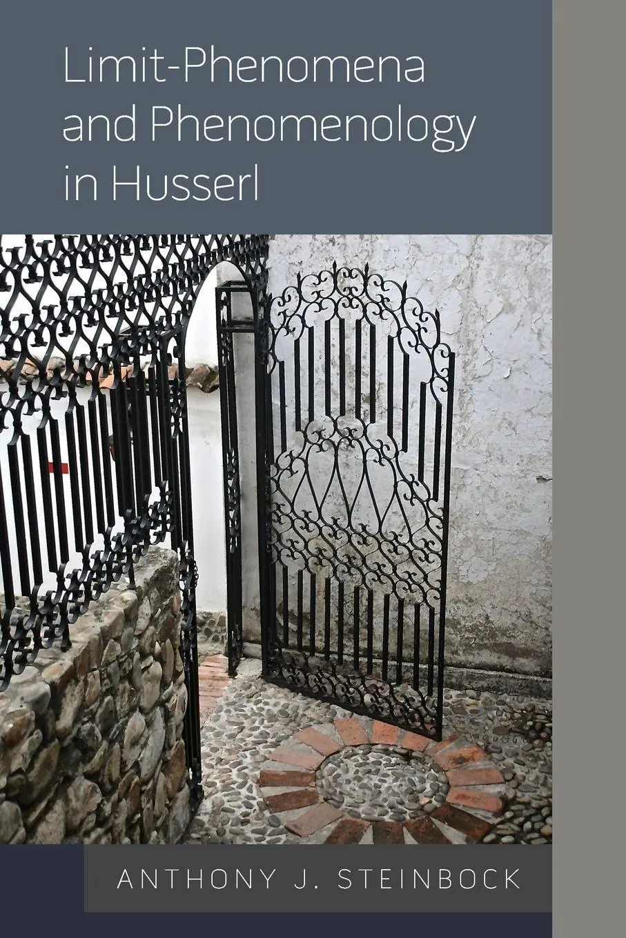 Cover: 9781786604996 | Limit-Phenomena and Phenomenology in Husserl | Anthony J. Steinbock