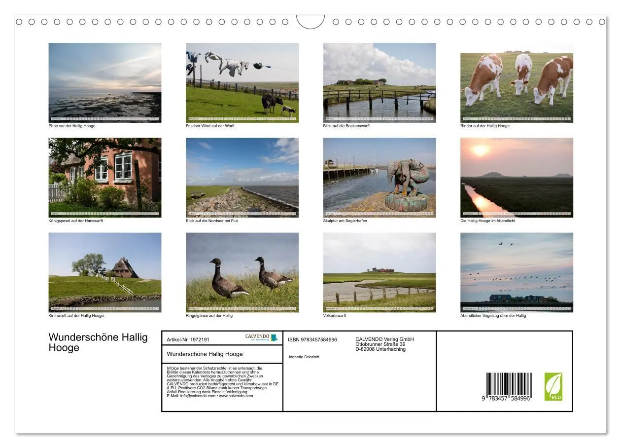 Bild: 9783457584996 | Wunderschöne Hallig Hooge (Wandkalender 2026 DIN A3 quer), CALVENDO...