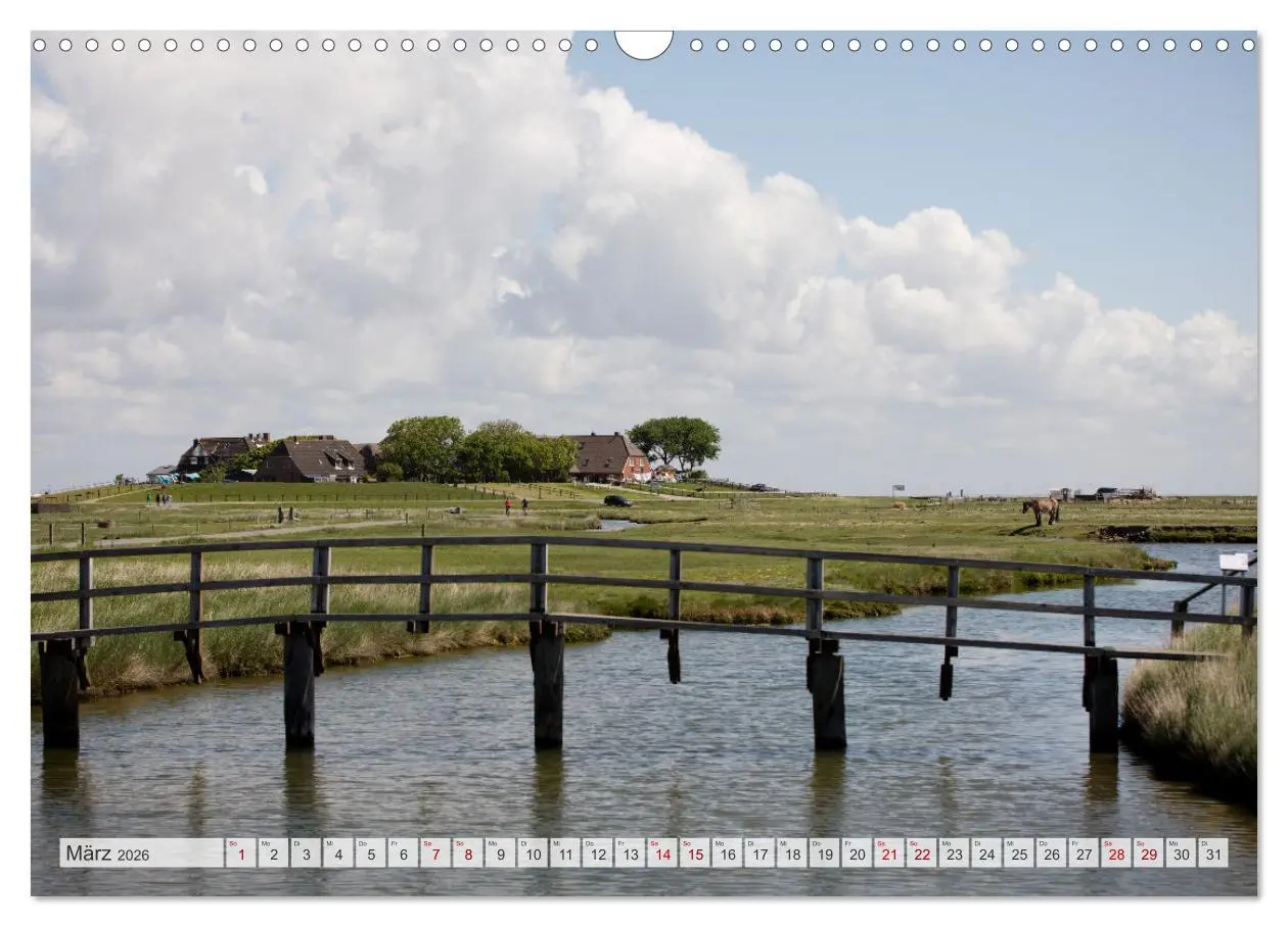 Bild: 9783457584996 | Wunderschöne Hallig Hooge (Wandkalender 2026 DIN A3 quer), CALVENDO...