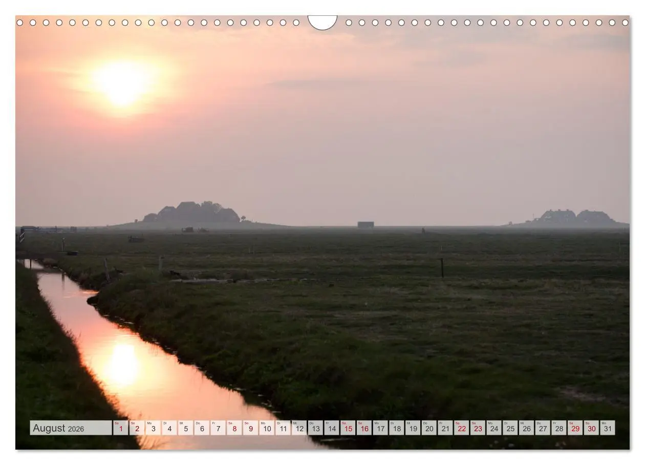 Bild: 9783457584996 | Wunderschöne Hallig Hooge (Wandkalender 2026 DIN A3 quer), CALVENDO...