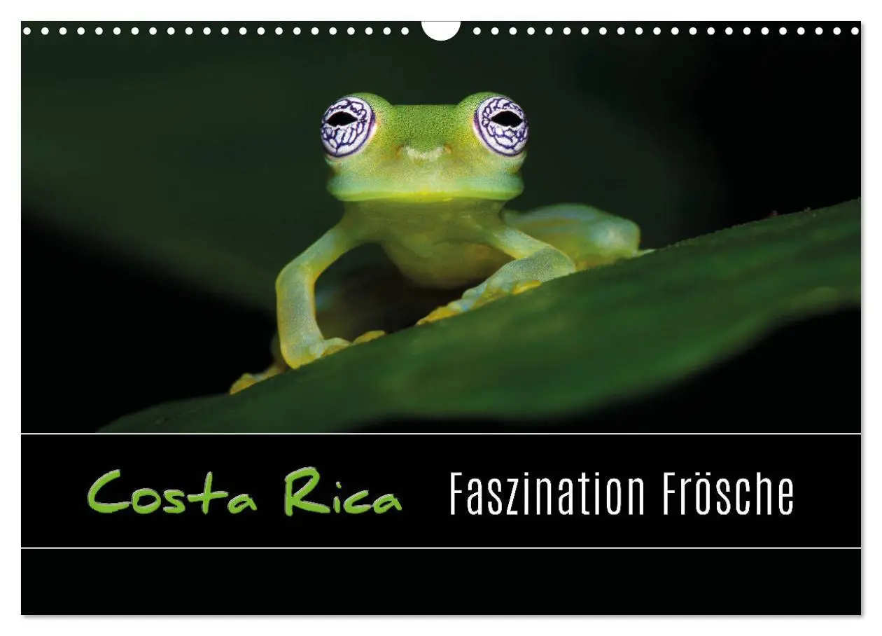 Cover: 9783457964996 | Costa Rica - Faszination Frösche (Wandkalender 2026 DIN A3 quer),...