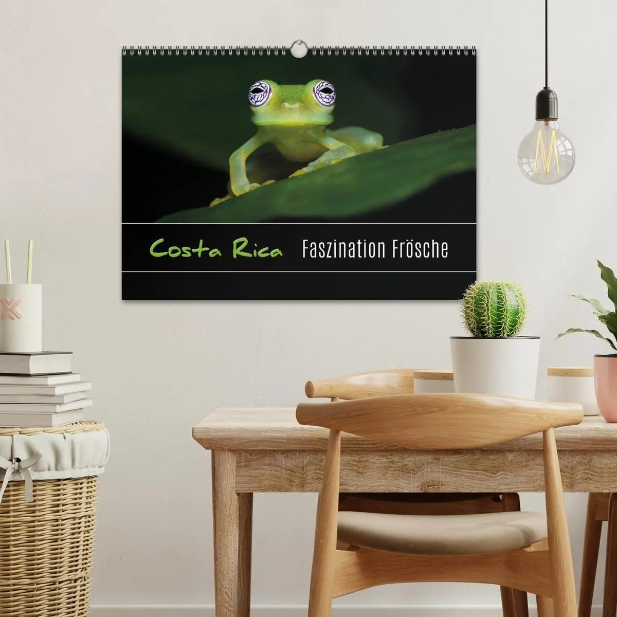 Bild: 9783457964996 | Costa Rica - Faszination Frösche (Wandkalender 2026 DIN A3 quer),...