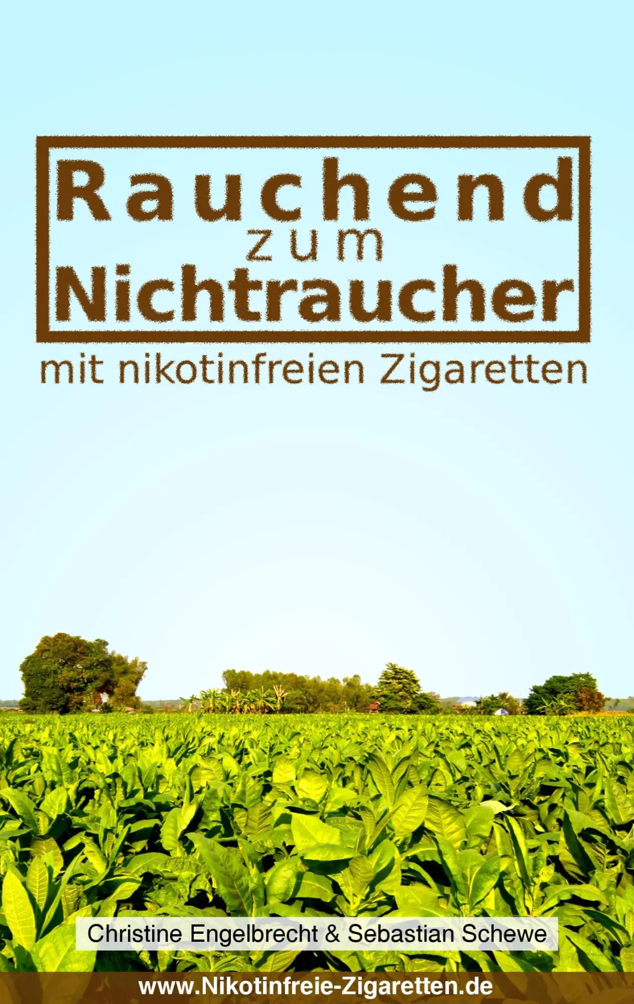 Cover: 9783839104996 | Rauchend zum Nichtraucher | Christine Engelbrecht (u. a.) | Buch