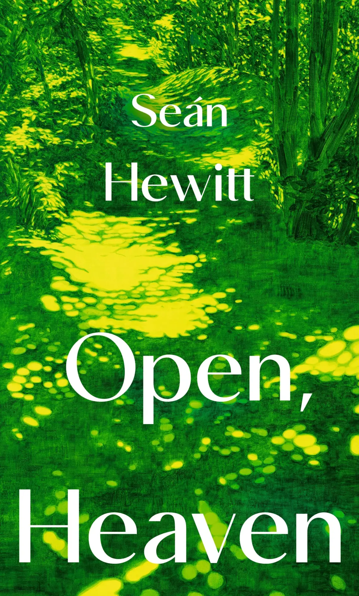 Cover: 9781787335196 | Open, Heaven | Seán Hewitt | Buch | Englisch | 2025