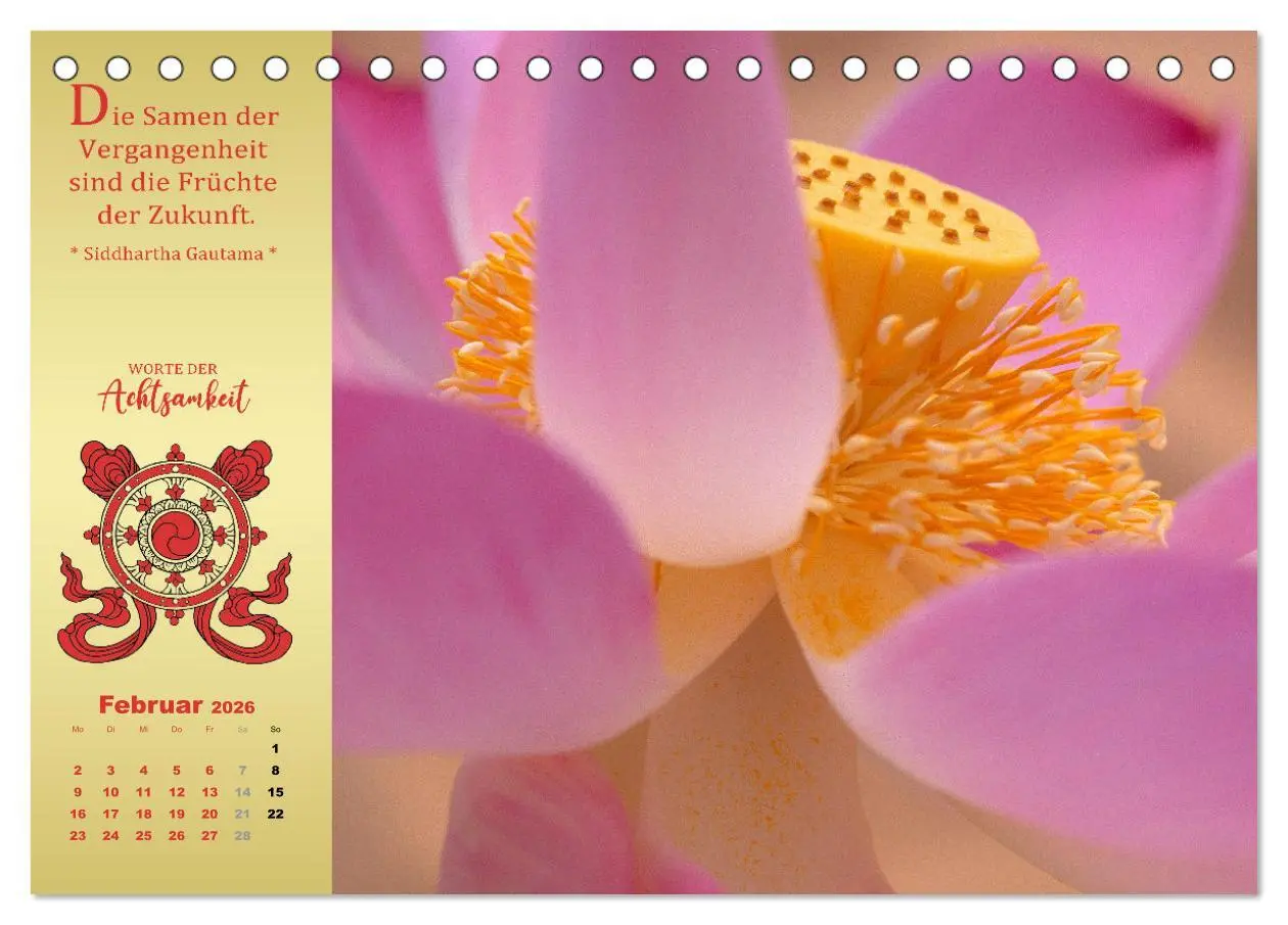 Bild: 9783457915196 | Wege der Achtsamkeit - In der Ruhe liegt die Kraft (Tischkalender...