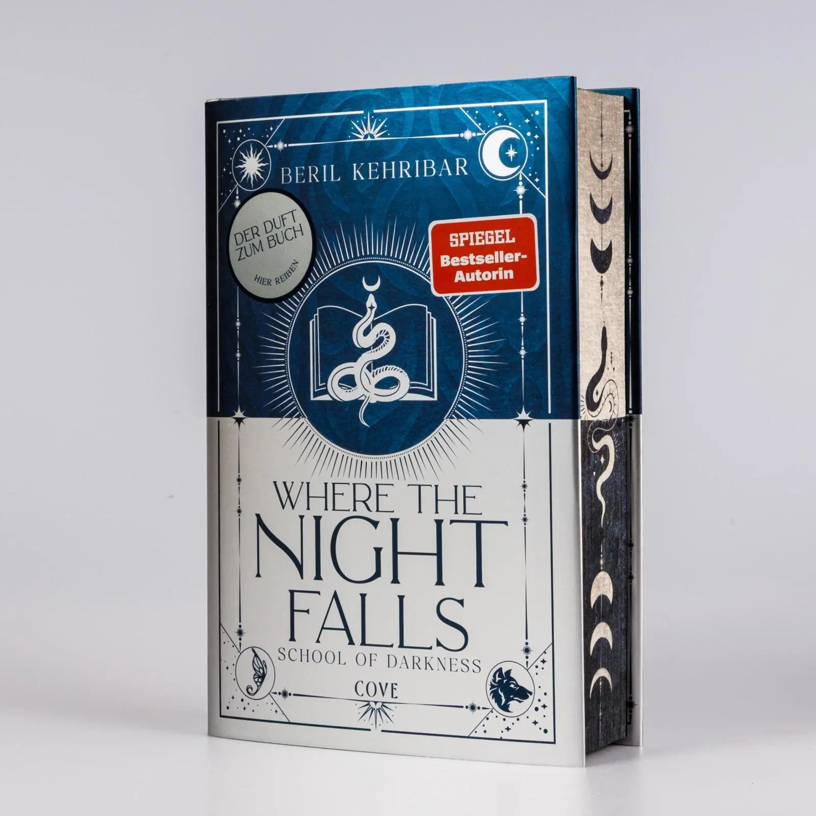 Bild: 9783551585196 | Where the Night Falls (School of Darkness 1) | Beril Kehribar | Buch