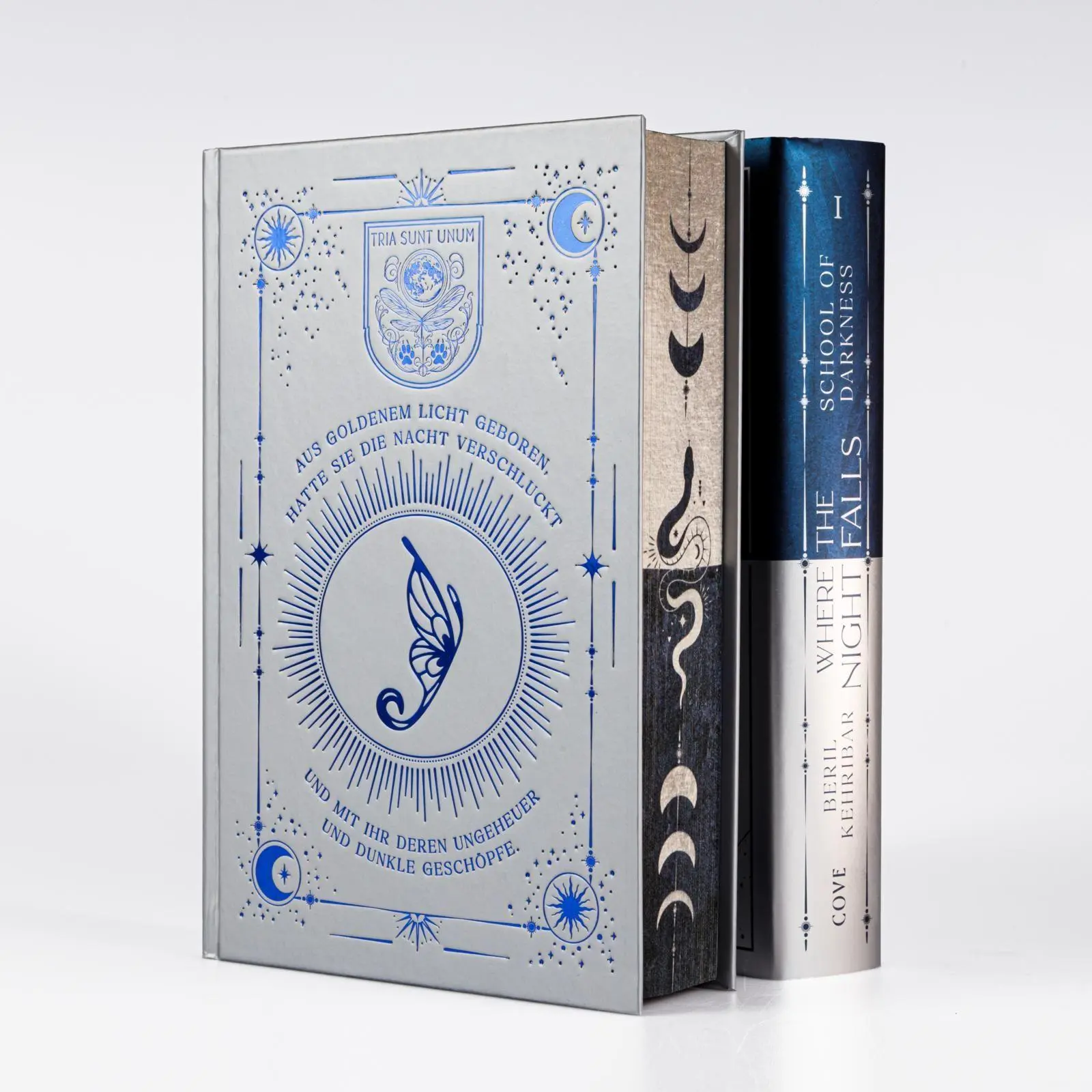 Bild: 9783551585196 | Where the Night Falls (School of Darkness 1) | Beril Kehribar | Buch