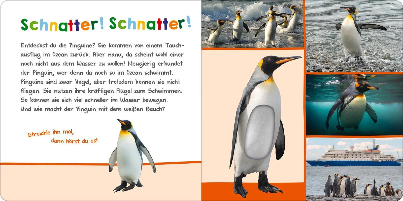 Bild: 9783845855196 | Hör mal rein, wer kann das sein? - Im Ozean | Streicheln und hören