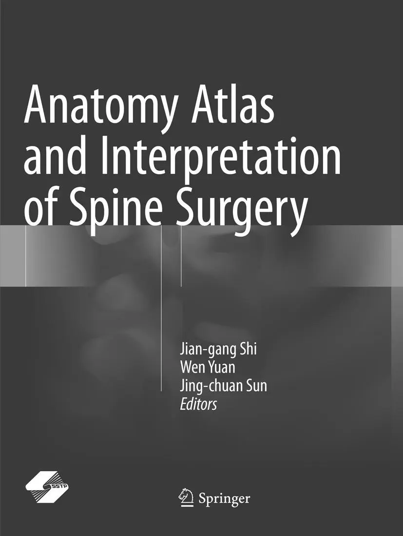 Cover: 9789811355196 | Anatomy Atlas and Interpretation of Spine Surgery | Shi (u. a.) | Buch