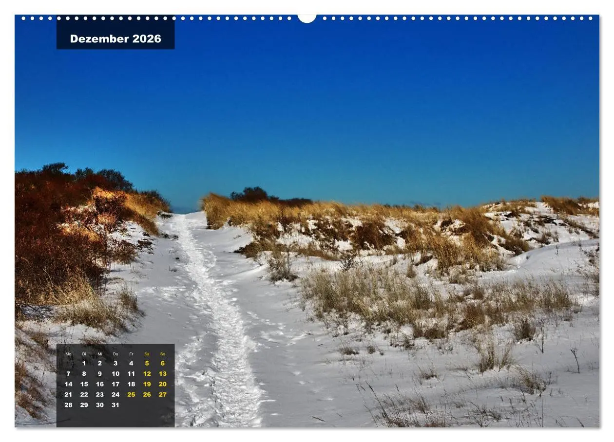 Bild: 9783457835296 | Texel Insel mit Charakter (Wandkalender 2026 DIN A2 quer), CALVENDO...