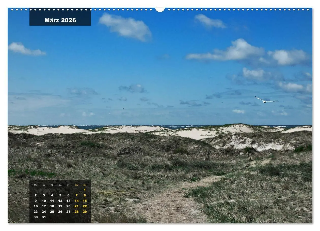 Bild: 9783457835296 | Texel Insel mit Charakter (Wandkalender 2026 DIN A2 quer), CALVENDO...