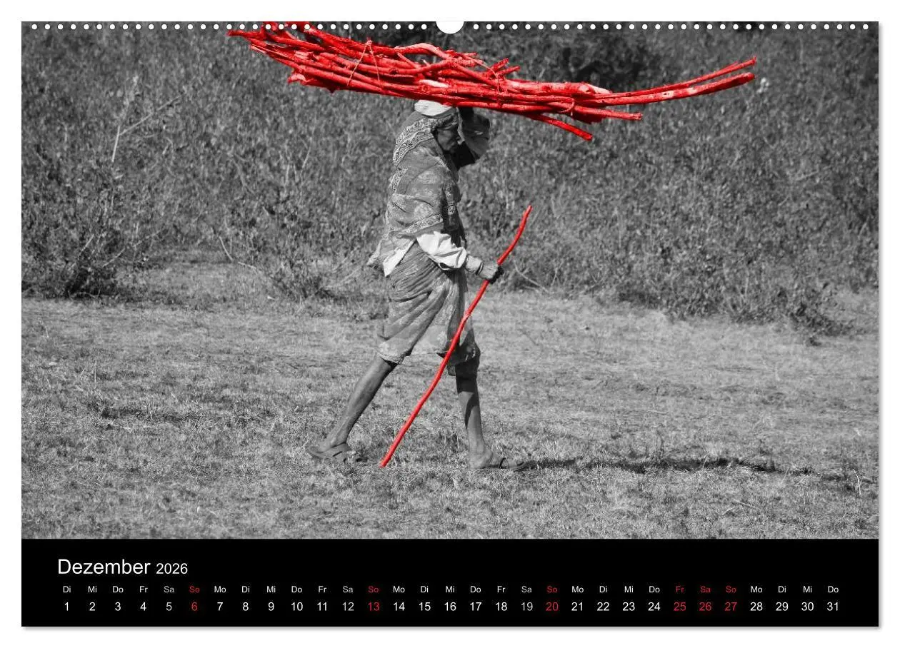 Bild: 9783516215496 | Blickfang in Rot (hochwertiger Premium Wandkalender 2026 DIN A2...