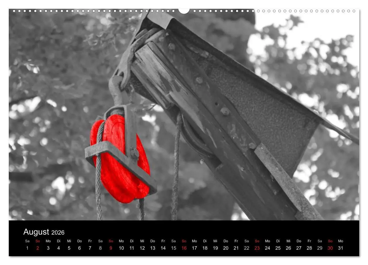 Bild: 9783516215496 | Blickfang in Rot (hochwertiger Premium Wandkalender 2026 DIN A2...