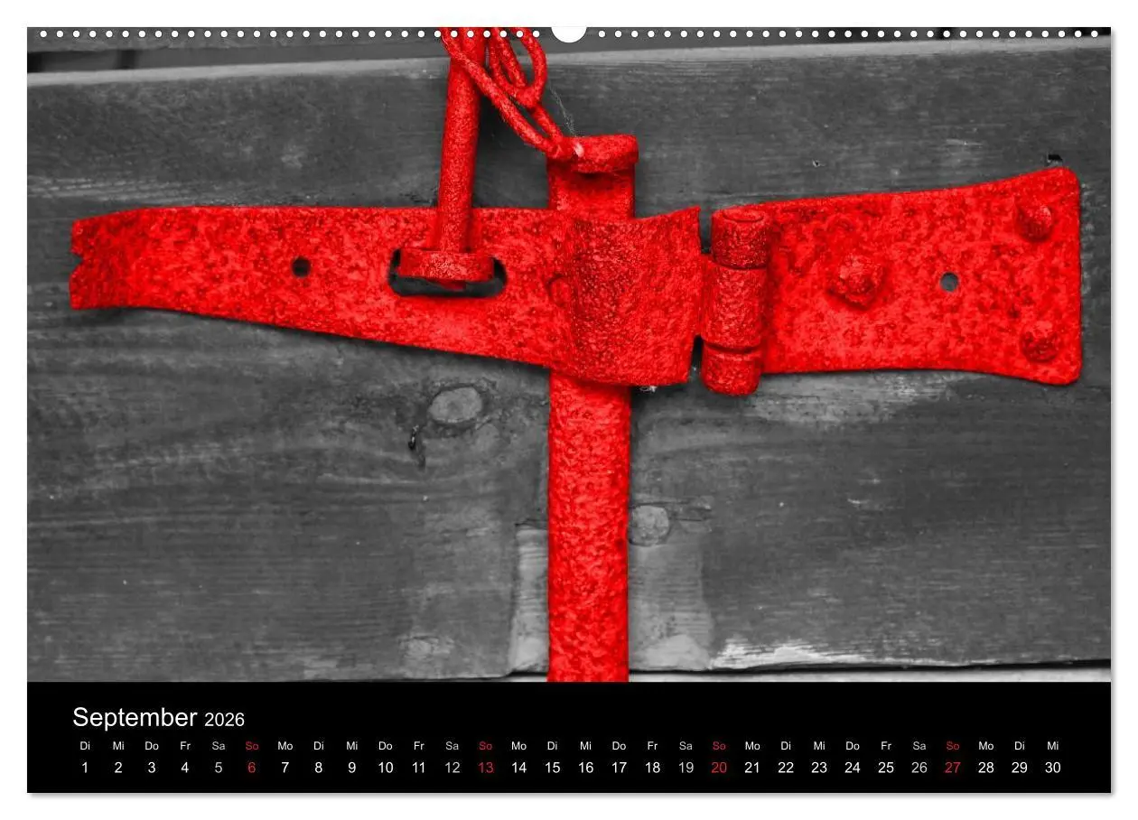 Bild: 9783516215496 | Blickfang in Rot (hochwertiger Premium Wandkalender 2026 DIN A2...