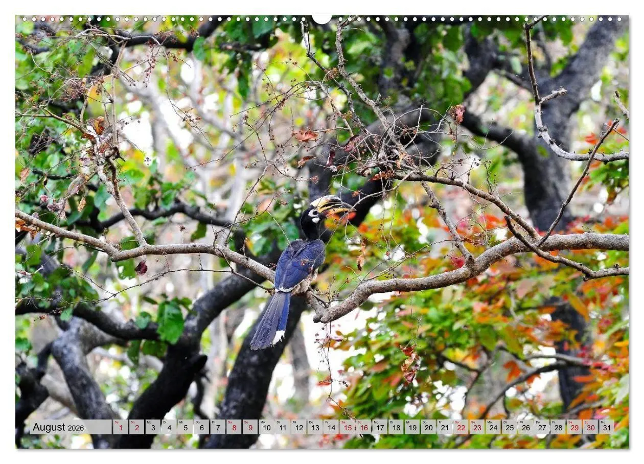 Bild: 9783516695496 | Uttarakhand - Land der Götter (Wandkalender 2026 DIN A2 quer),...