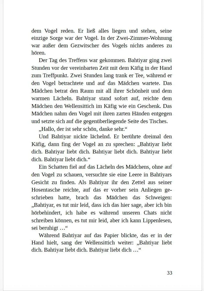 Bild: 9783935535496 | Unzeitig | Engin Akyürek | Taschenbuch | Deutsch | 2025