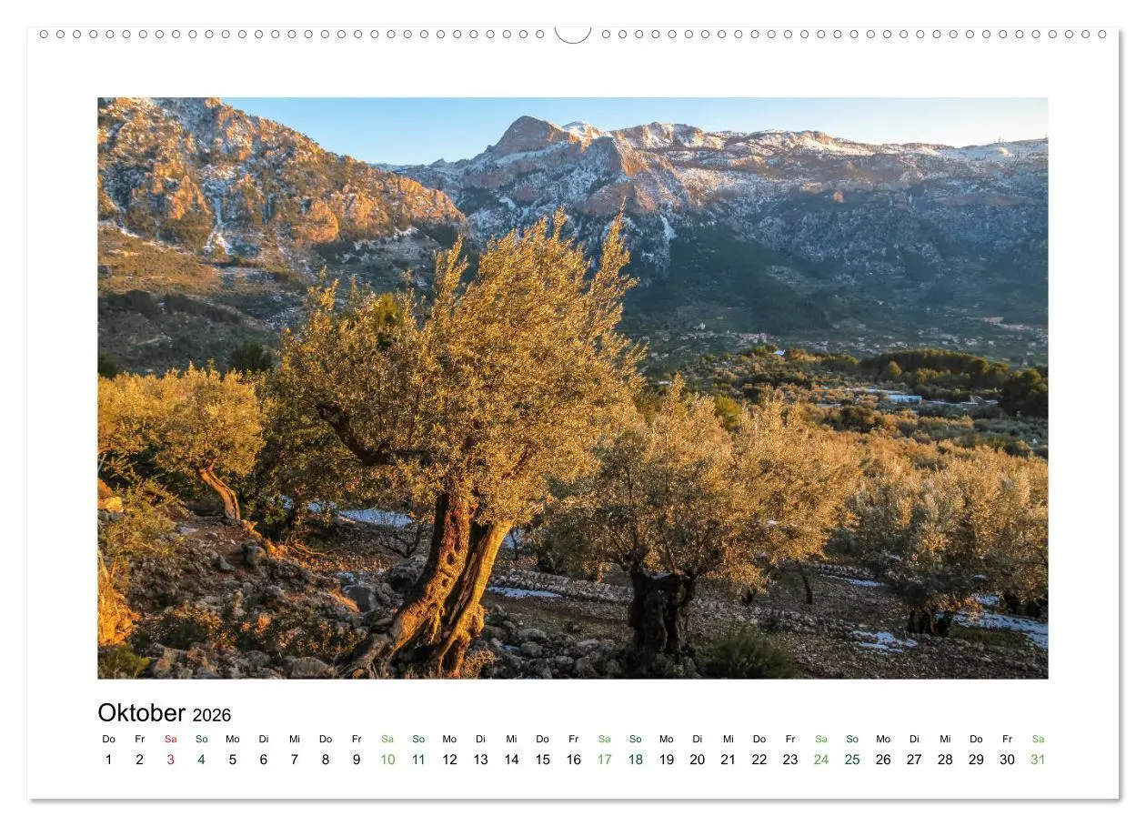 Bild: 9783457805596 | Sehnsucht nach Mallorca (Wandkalender 2026 DIN A2 quer), CALVENDO...