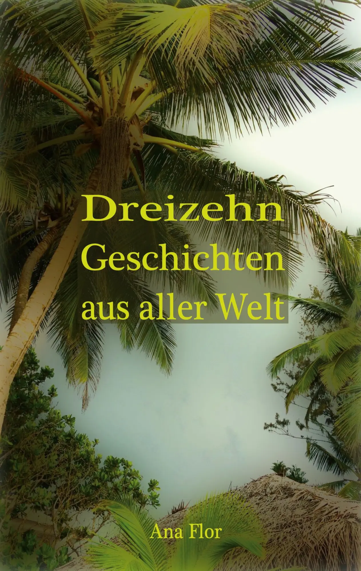 Cover: 9783753435596 | Dreizehn Geschichten aus aller Welt | Ana Flor | Taschenbuch | 180 S.