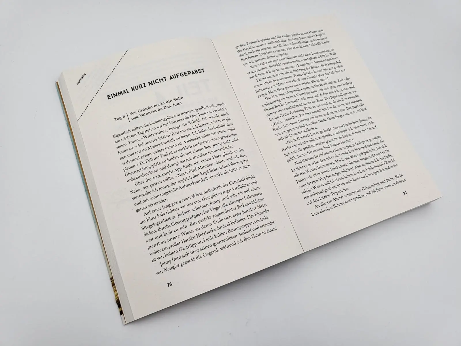 Bild: 9783890295596 | Sonne, Meer und lange Ohren | Lotta Lubkoll | Taschenbuch | 288 S.