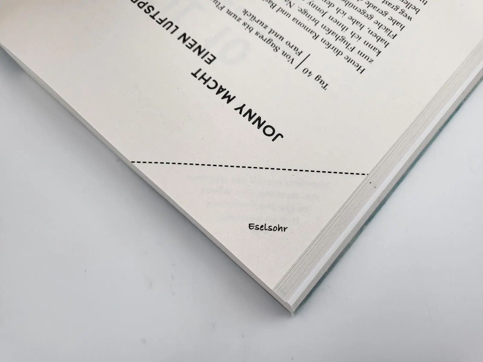 Bild: 9783890295596 | Sonne, Meer und lange Ohren | Lotta Lubkoll | Taschenbuch | 288 S.
