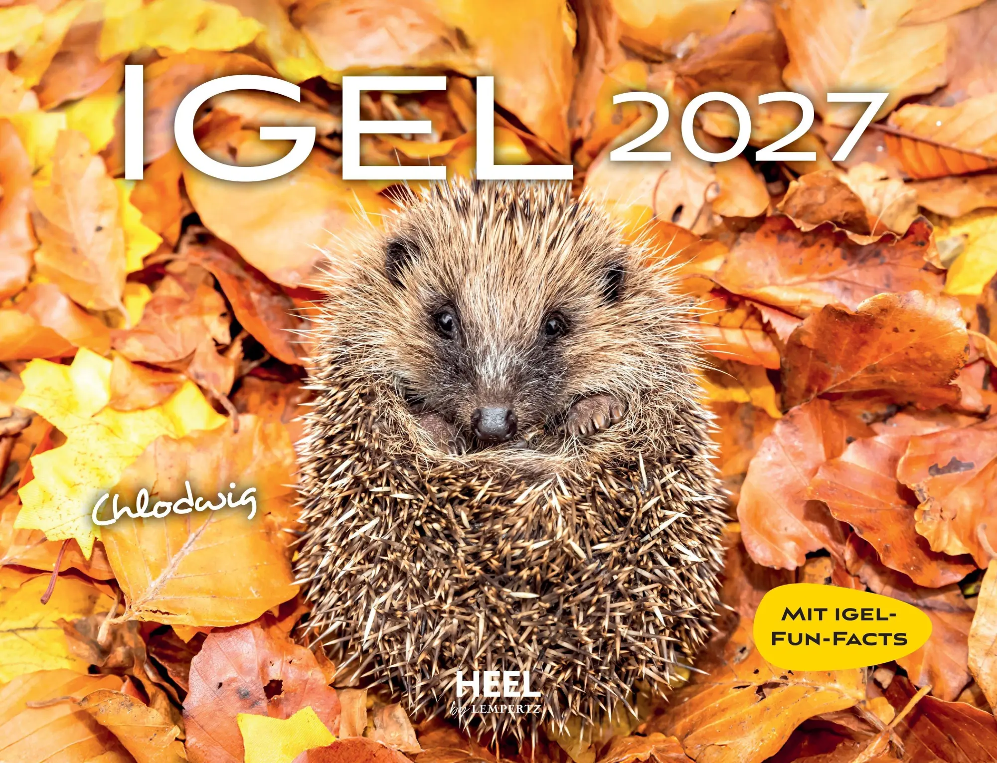 Cover: 9783960585596 | Igel 2027 Eintragkalender | Kalender | 14 S. | Deutsch | 2027
