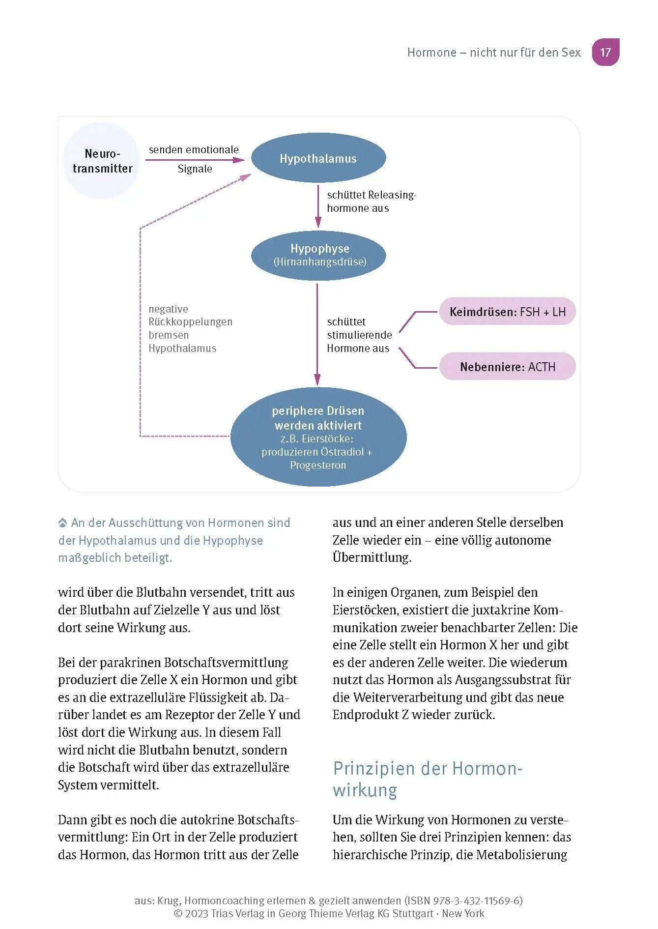 Bild: 9783432115696 | Hormoncoaching erlernen &amp; gezielt anwenden | Marianne Krug | Buch