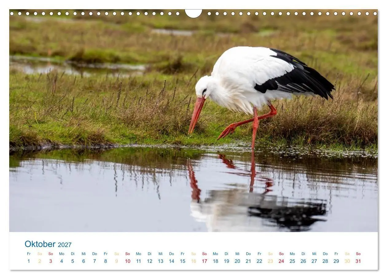 Bild: 9783594275696 | Sankt Peter-Ording - Strände, Dünen, Weite (Wandkalender 2027 DIN...