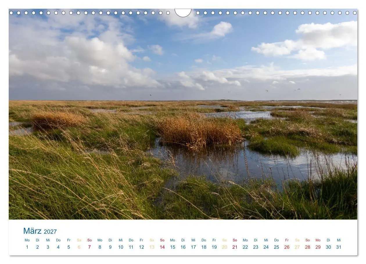 Bild: 9783594275696 | Sankt Peter-Ording - Strände, Dünen, Weite (Wandkalender 2027 DIN...