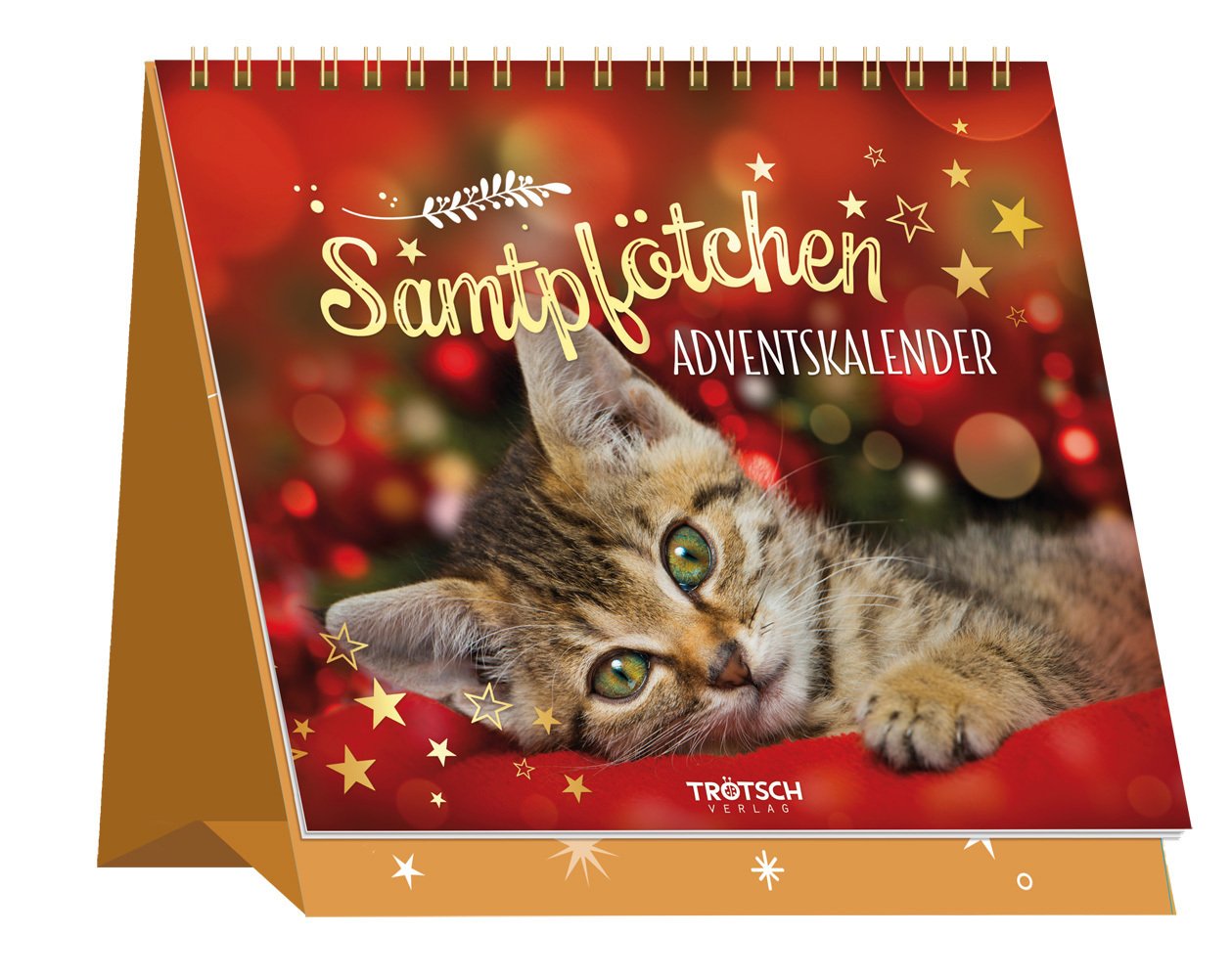 Cover: 9783965525696 | Adventskalender Samtpfötchen | Kalender | 24 S. | Deutsch