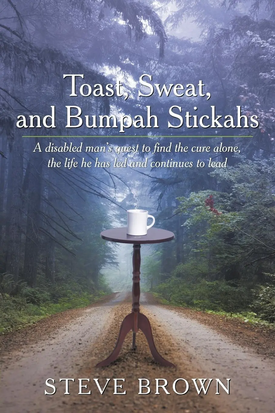 Cover: 9781449095796 | Toast, Sweat, and Bumpah Stickahs | Steve Brown | Taschenbuch | 2010