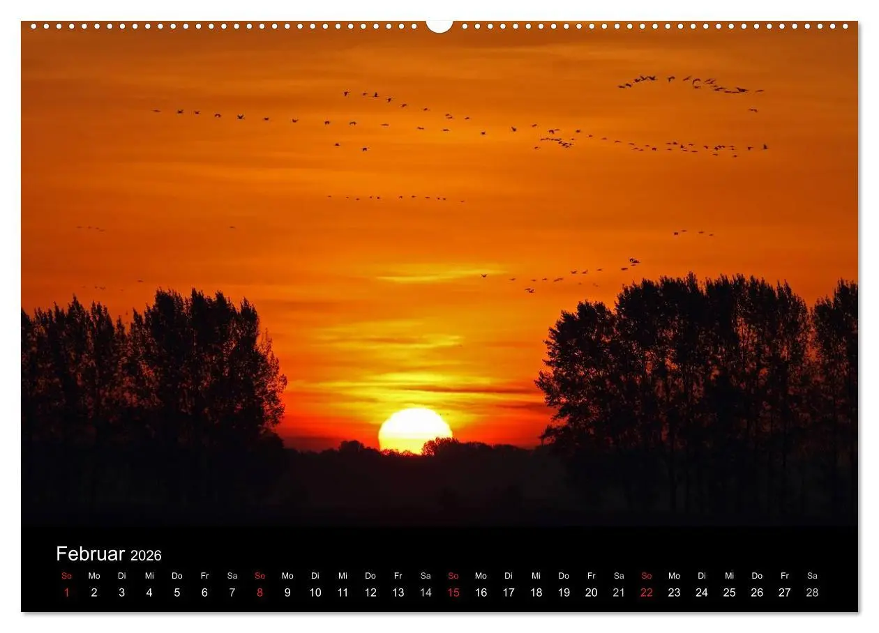 Bild: 9783516115796 | Kranich-Land Brandenburg (hochwertiger Premium Wandkalender 2026...