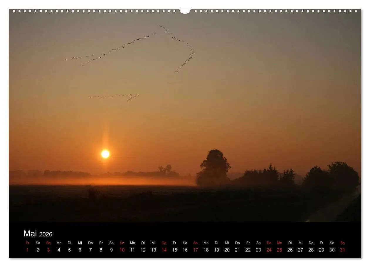 Bild: 9783516115796 | Kranich-Land Brandenburg (hochwertiger Premium Wandkalender 2026...