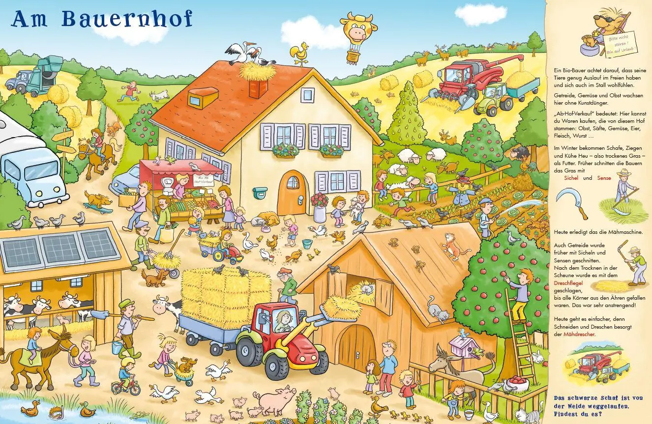 Bild: 9783707425796 | Mein wimmeliges Österreich-Buch | Suchen - Staunen - Entdecken | Buch