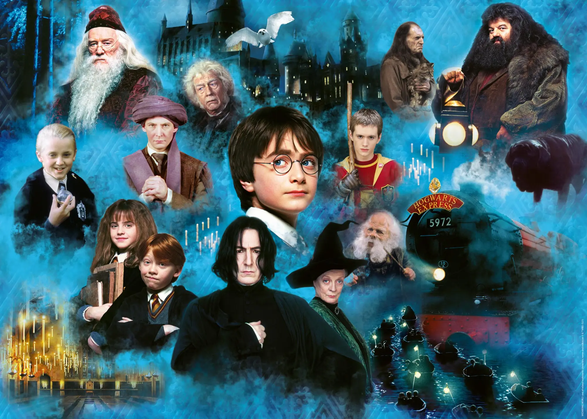 Cover: 4005555005896 | Erwachsenenpuzzle 1000 Teile - Harry Potters magische Welt | Spiel