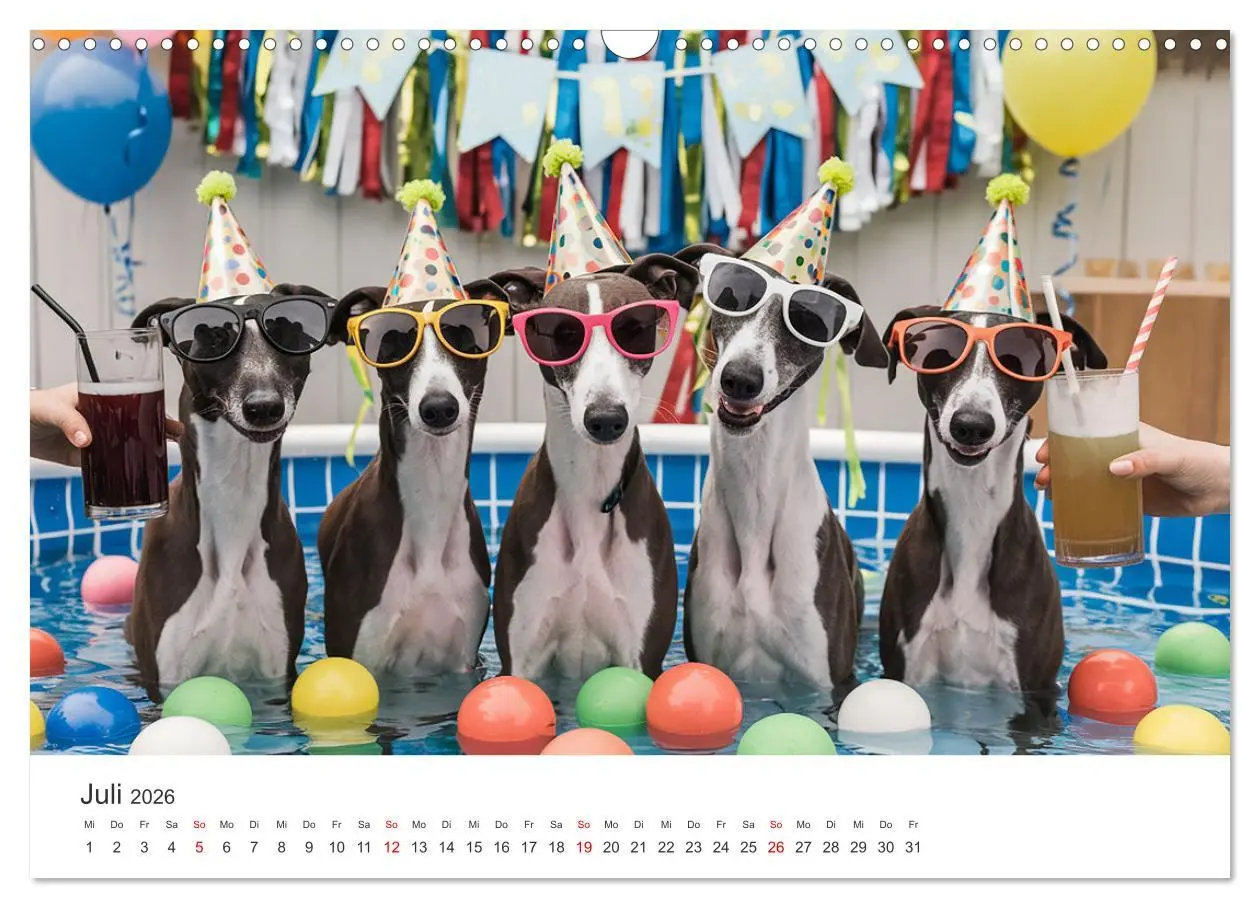 Bild: 9783457255896 | Funny Greyhounds - Windhunde mal anders (Wandkalender 2026 DIN A3...
