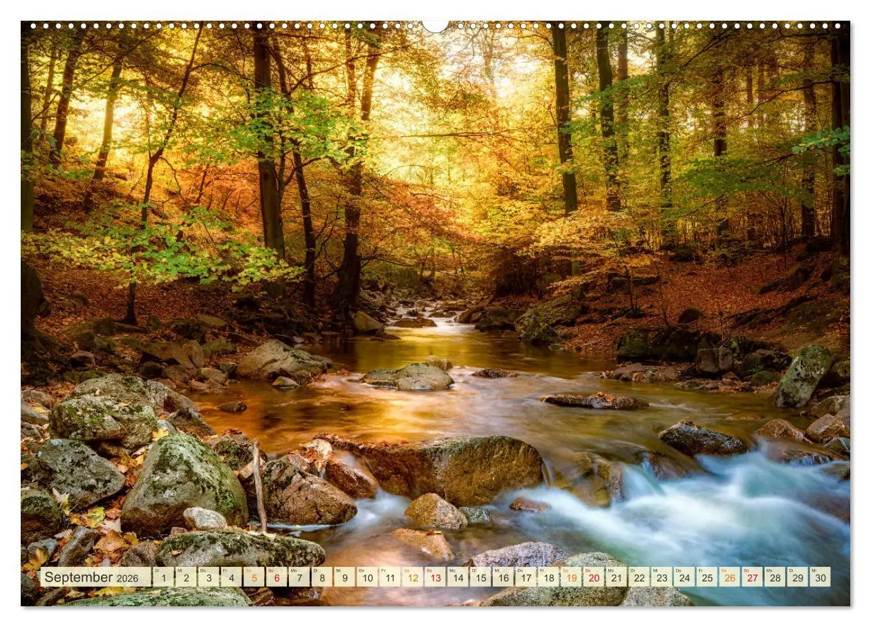 Bild: 9783457635896 | Traumwege entdecken (Wandkalender 2026 DIN A2 quer), CALVENDO...