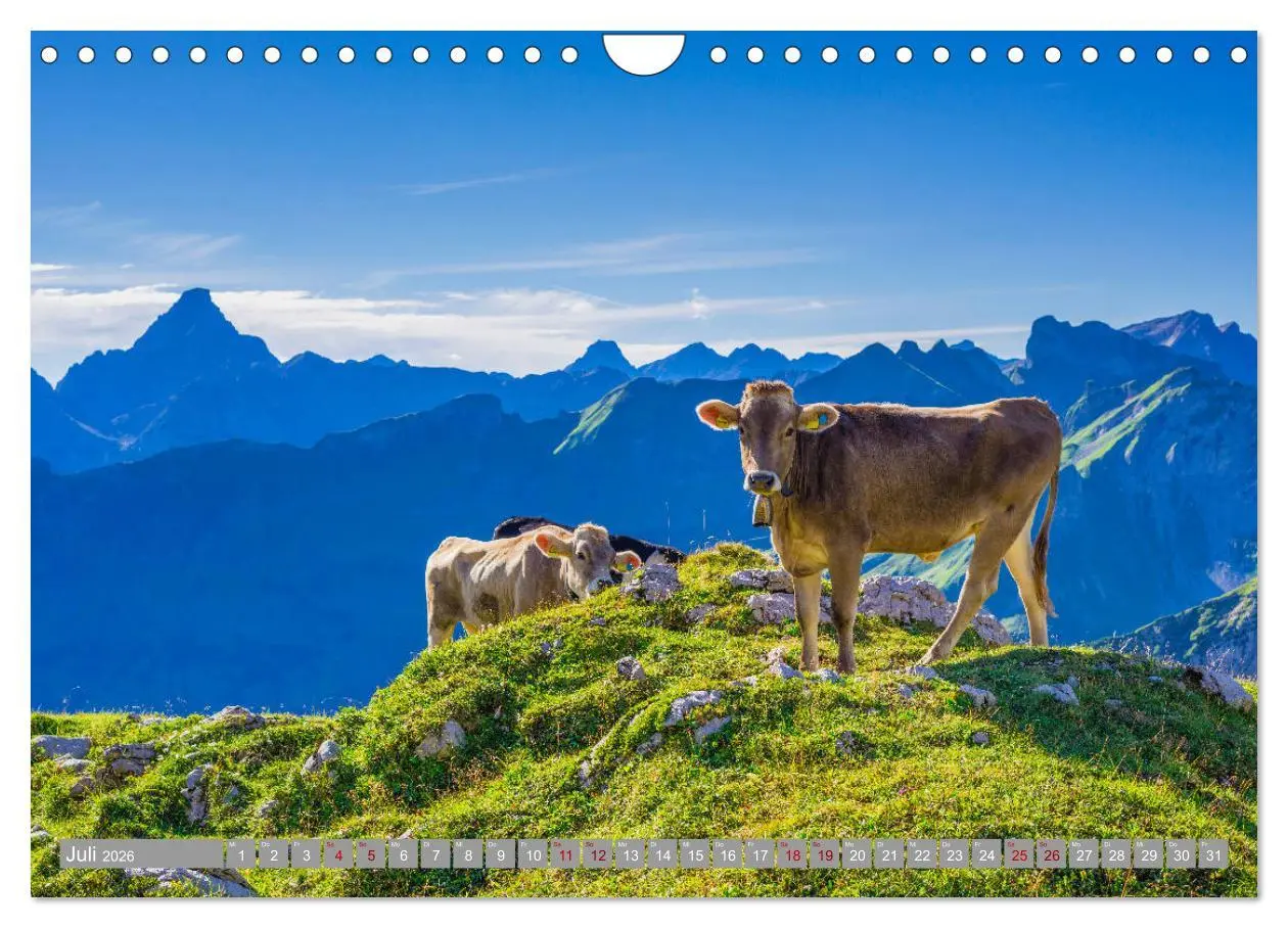 Bild: 9783457875896 | Allgäu-Idylle (Wandkalender 2026 DIN A4 quer), CALVENDO Monatskalender