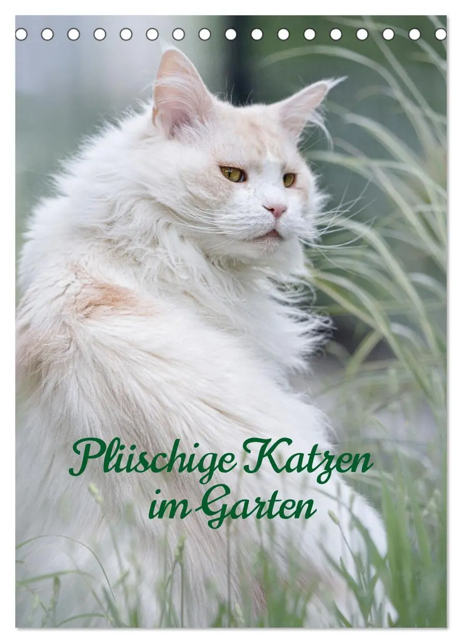 Cover: 9783516335996 | Plüschige Katzen im Garten (Tischkalender 2026 DIN A5 hoch),...