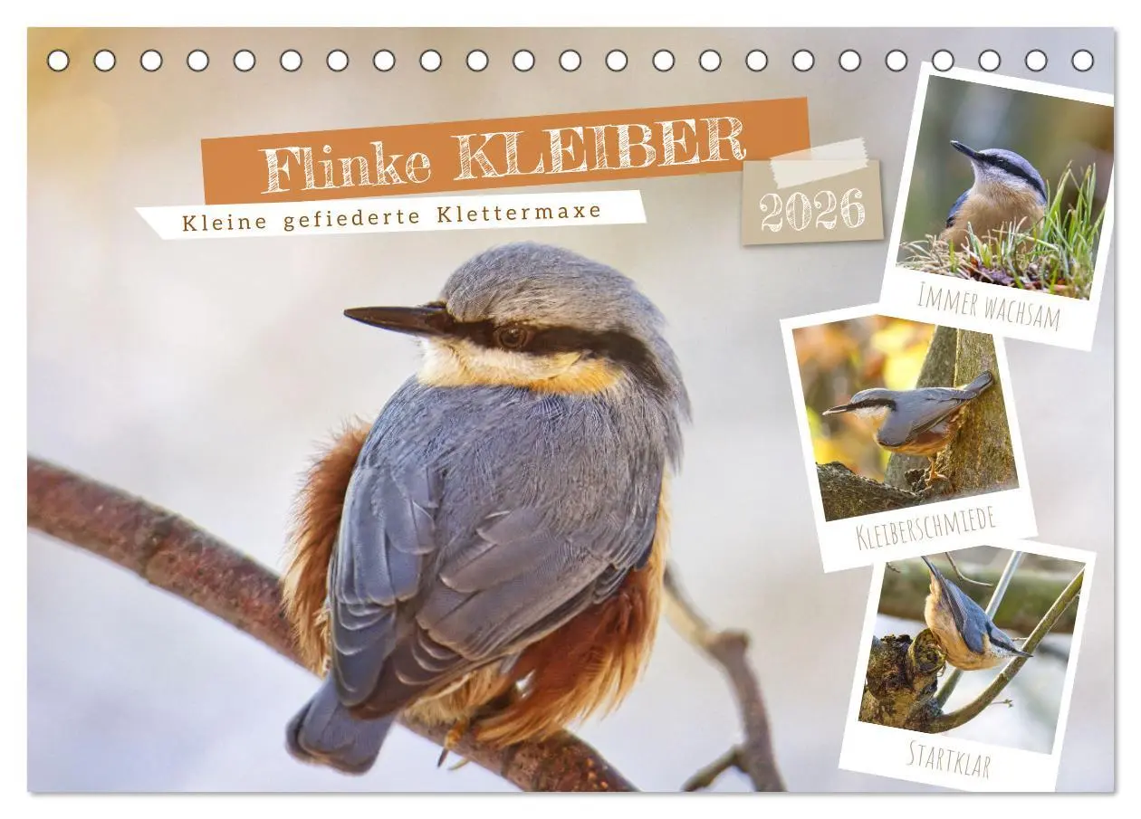Cover: 9783457516096 | Flinke Kleiber (Tischkalender 2026 DIN A5 quer), CALVENDO...
