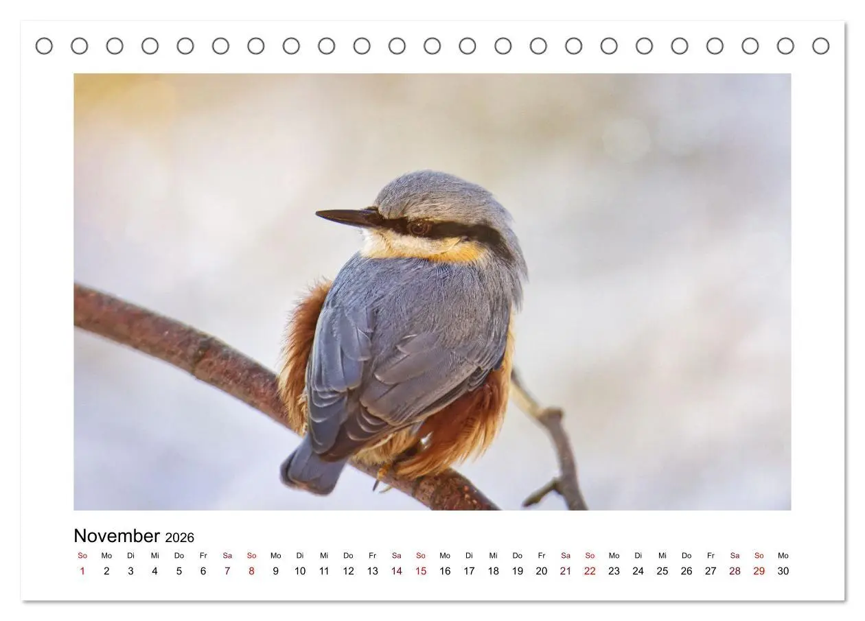 Bild: 9783457516096 | Flinke Kleiber (Tischkalender 2026 DIN A5 quer), CALVENDO...