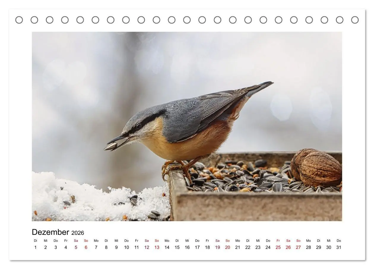 Bild: 9783457516096 | Flinke Kleiber (Tischkalender 2026 DIN A5 quer), CALVENDO...