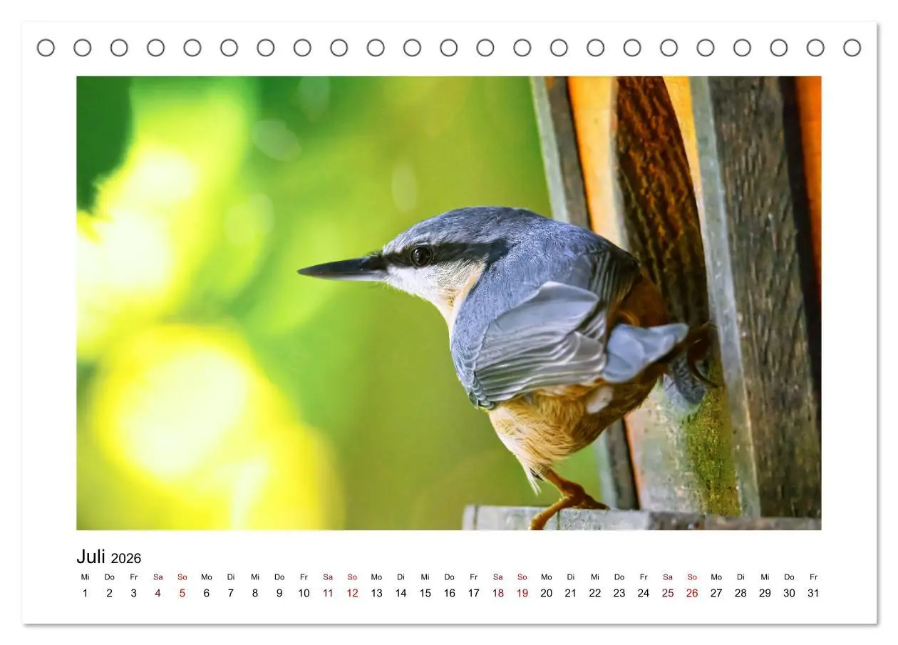 Bild: 9783457516096 | Flinke Kleiber (Tischkalender 2026 DIN A5 quer), CALVENDO...