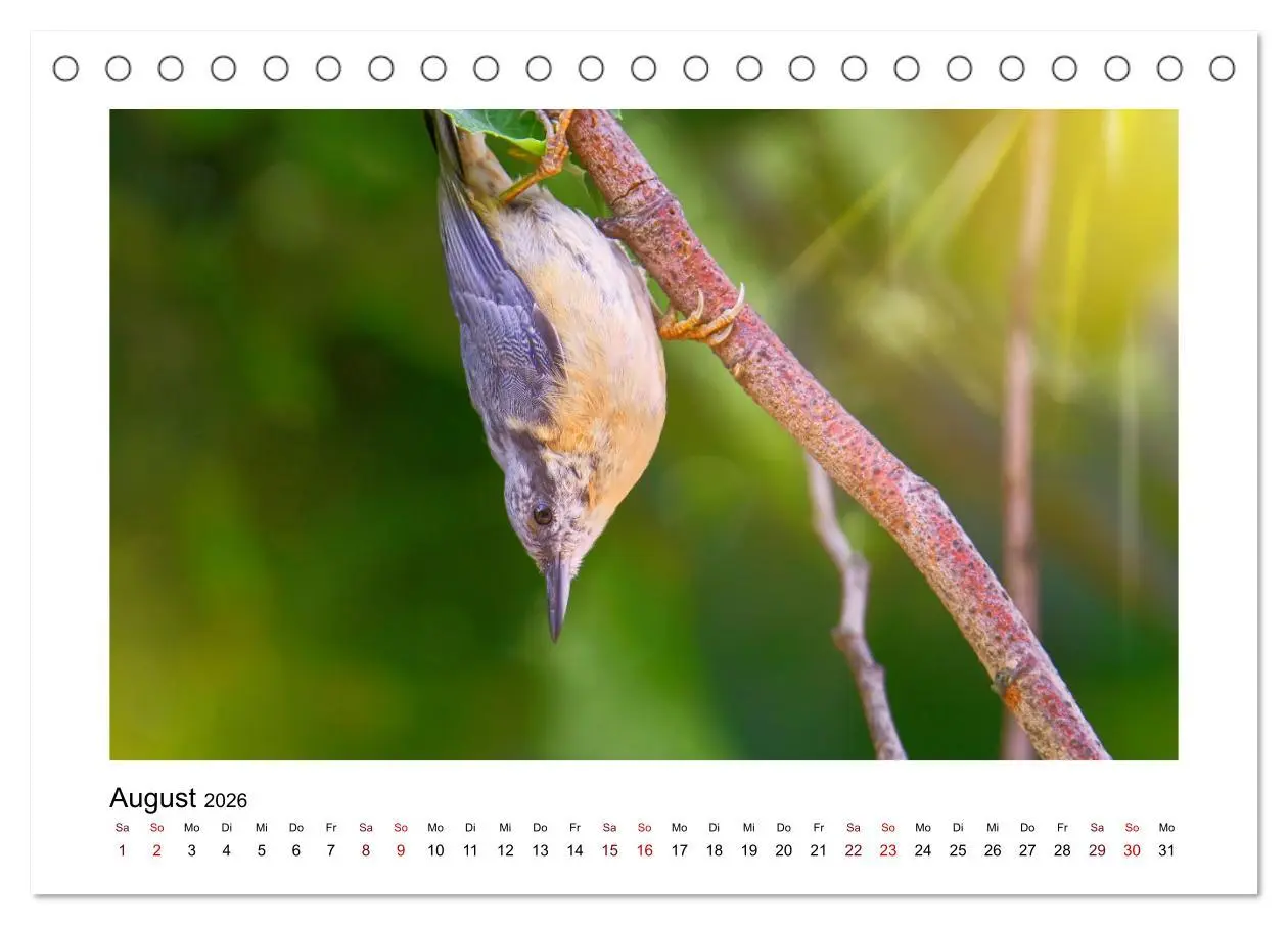 Bild: 9783457516096 | Flinke Kleiber (Tischkalender 2026 DIN A5 quer), CALVENDO...