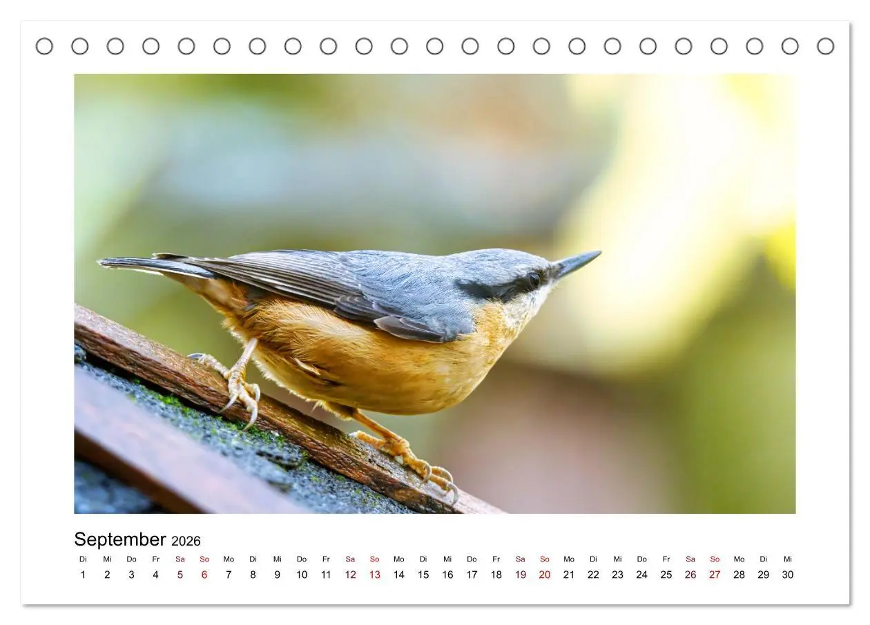 Bild: 9783457516096 | Flinke Kleiber (Tischkalender 2026 DIN A5 quer), CALVENDO...