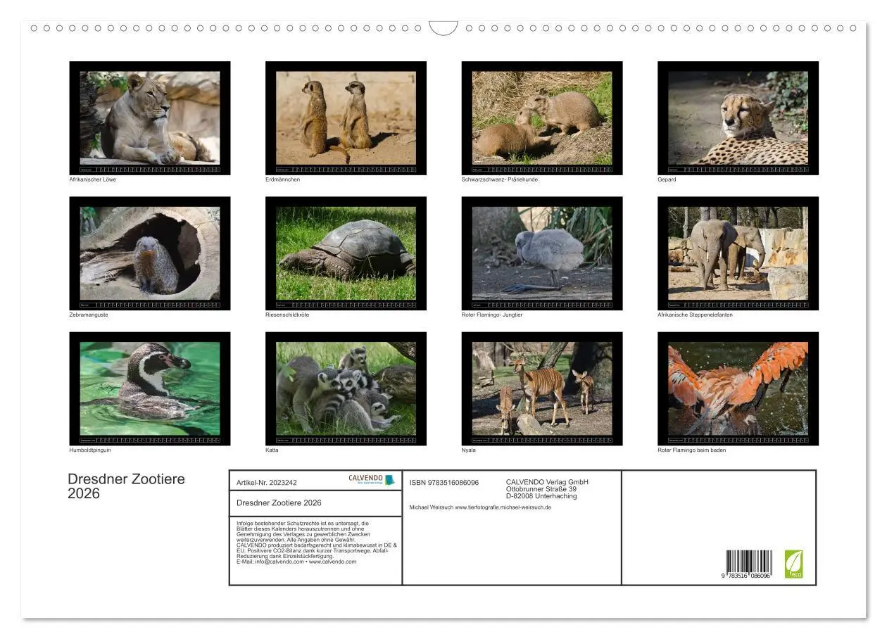 Bild: 9783516086096 | Dresdner Zootiere 2026 (Wandkalender 2026 DIN A2 quer), CALVENDO...