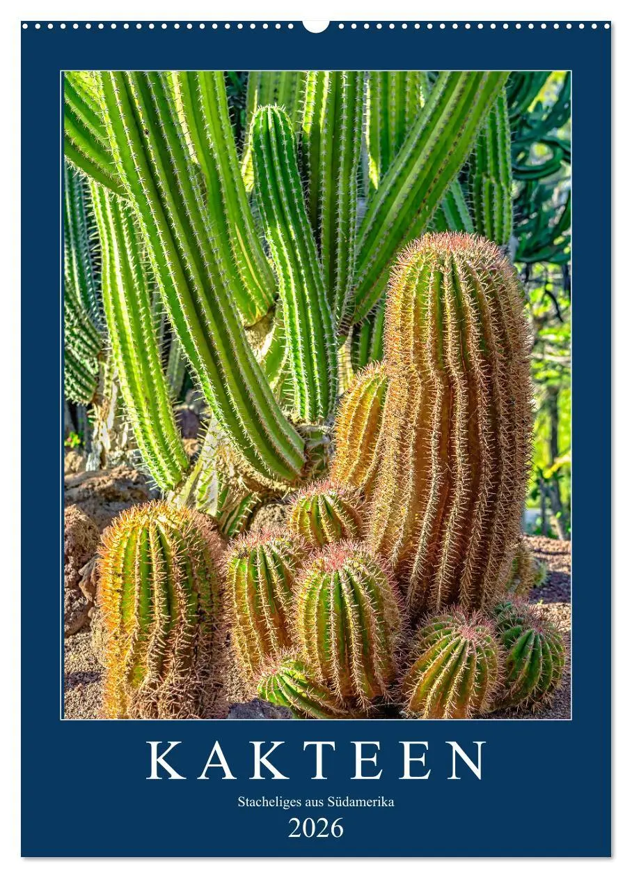 Cover: 9783516396096 | Kakteen - Stacheliges aus Südamerika (Wandkalender 2026 DIN A2...
