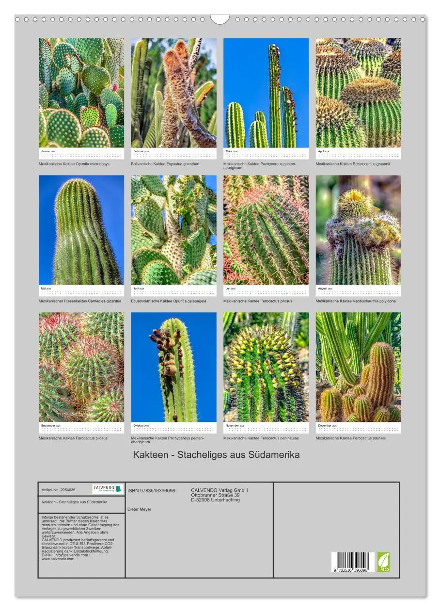 Bild: 9783516396096 | Kakteen - Stacheliges aus Südamerika (Wandkalender 2026 DIN A2...