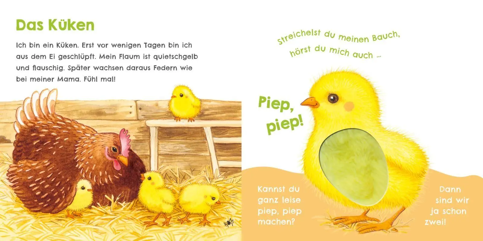 Bild: 9783551256096 | Hör mal, wie ich knabbern kann (Mein erstes Streichel-Soundbuch 5)